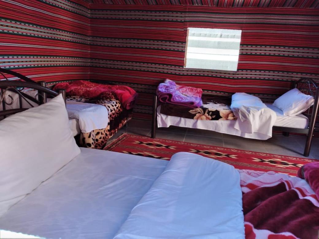 Joy Of Life Bed & Breakfast Wadi Rum Bagian luar foto