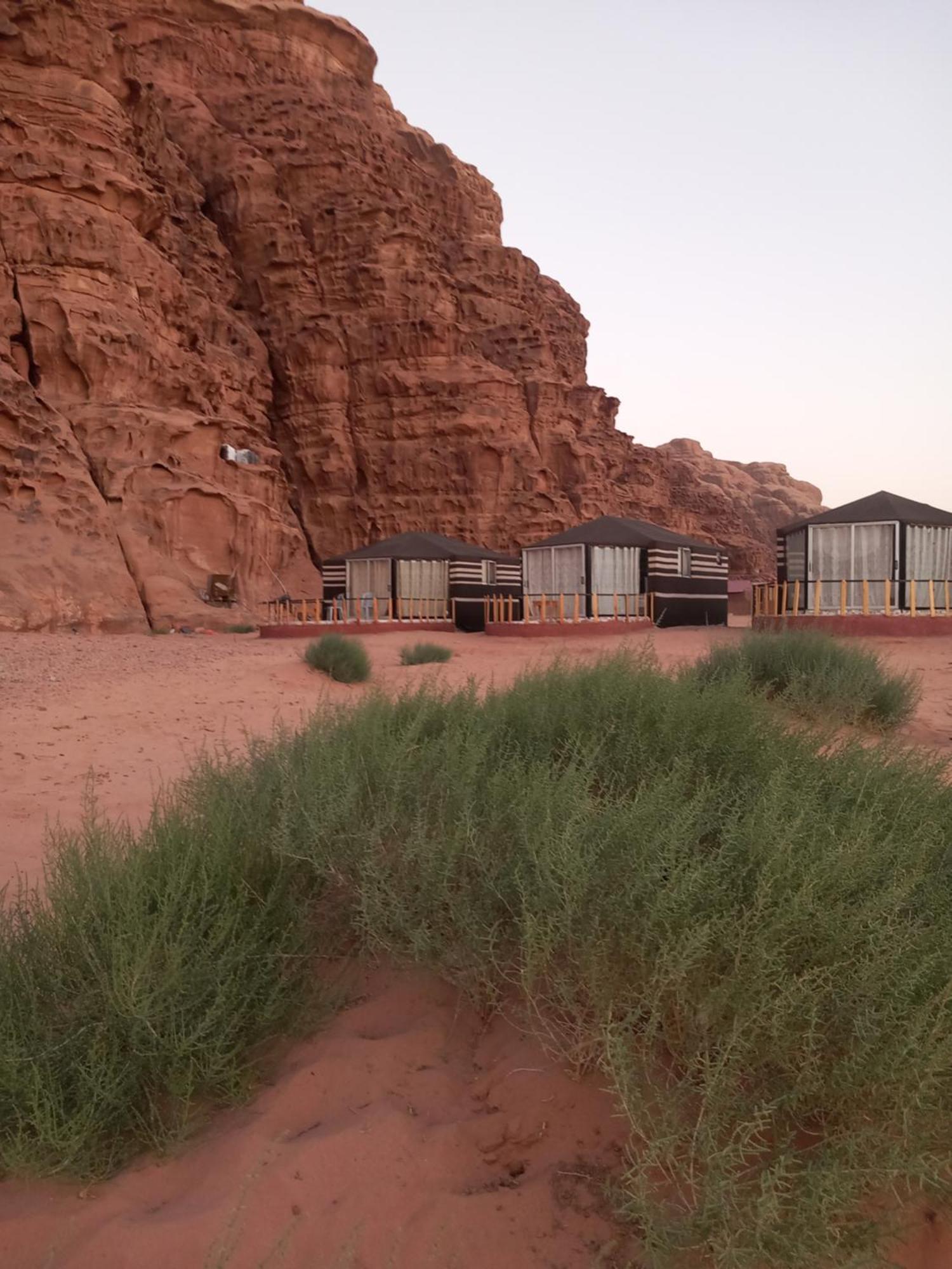 Joy Of Life Bed & Breakfast Wadi Rum Ruang foto